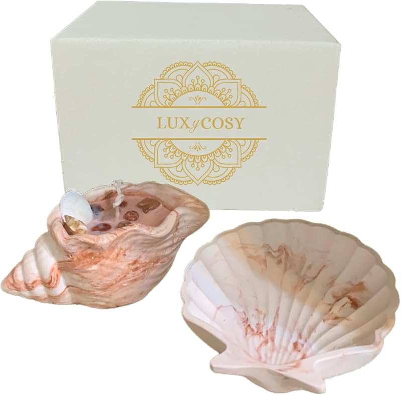 Set of 2 Seashell Candles Natural Soy Wax Organic Scented with Cinnamon 10H Burning Gift Woman Mother Original